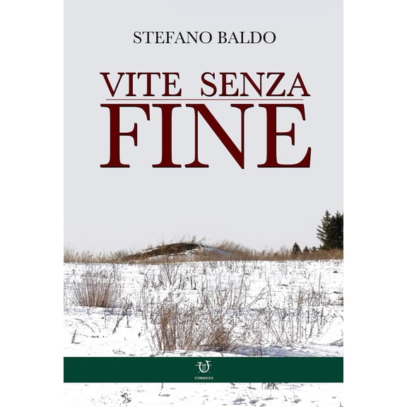 Stefano Baldo Vite senza fine (Paperback)