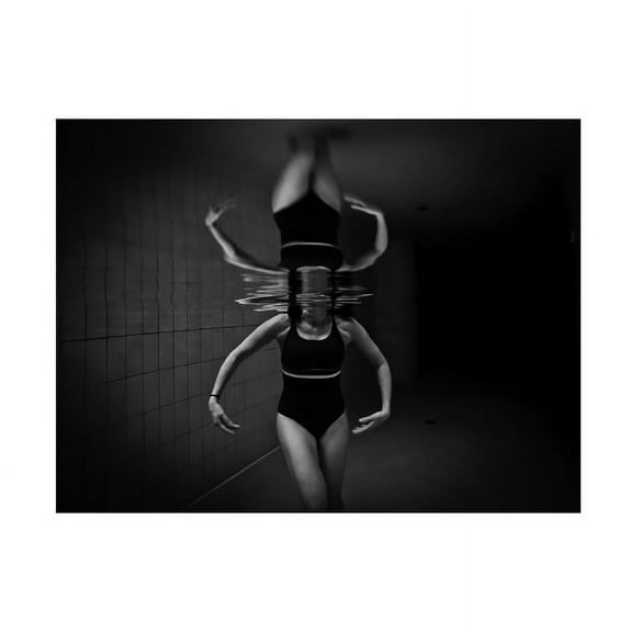 Stefano Zocca 'Ballerina' Canvas Art