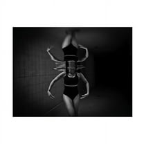 Stefano Zocca 'Ballerina' Canvas Art