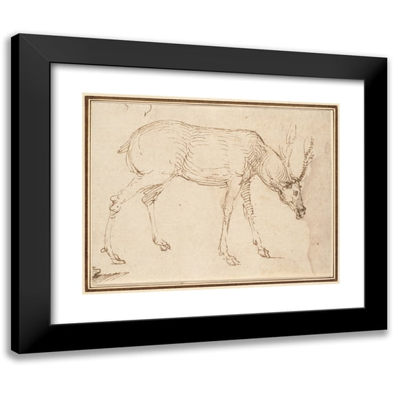 Stefano da Verona 24x20 Black Modern Framed Museum Art Print Titled - Studies of a Stag