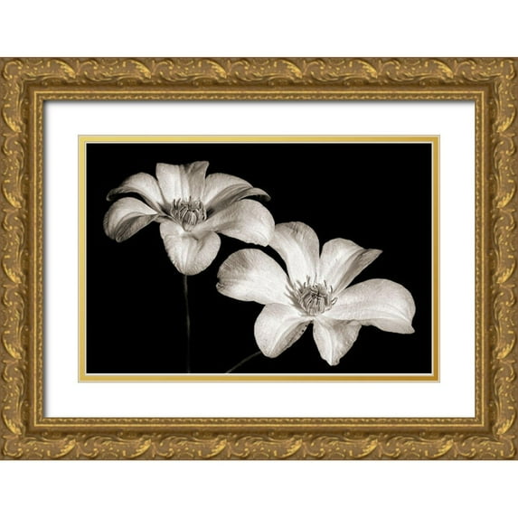 Steger, Uwe 14x11 Gold Ornate Wood Framed with Double Matting Museum Art Print Titled - Stars II