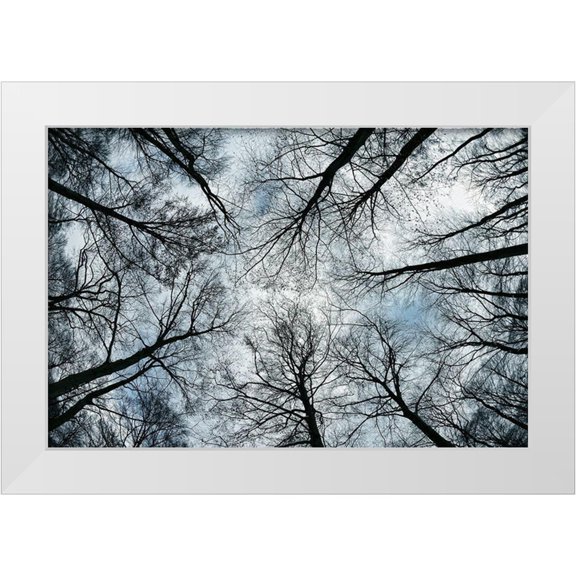 Steger, Uwe 14x11 White Modern Wood Framed Museum Art Print Titled - Dark Arms