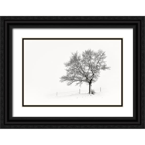 Steger, Uwe 18x13 Black Ornate Wood Framed with Double Matting Museum Art Print Titled - Solitar III
