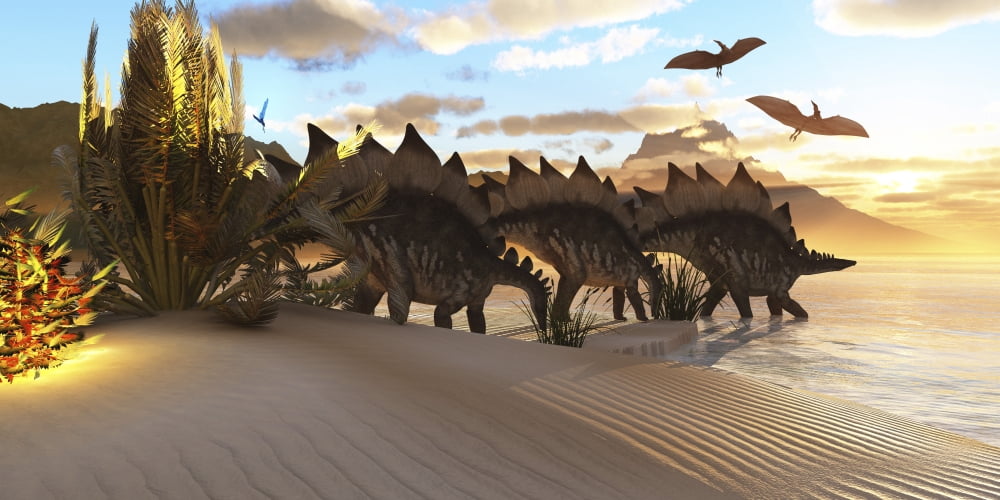 Stegosaurus dinosaurs graze among the vegetation by a lake in the Jurassic Period Canvas Art - Corey FordStocktrek Images (20 x 10)