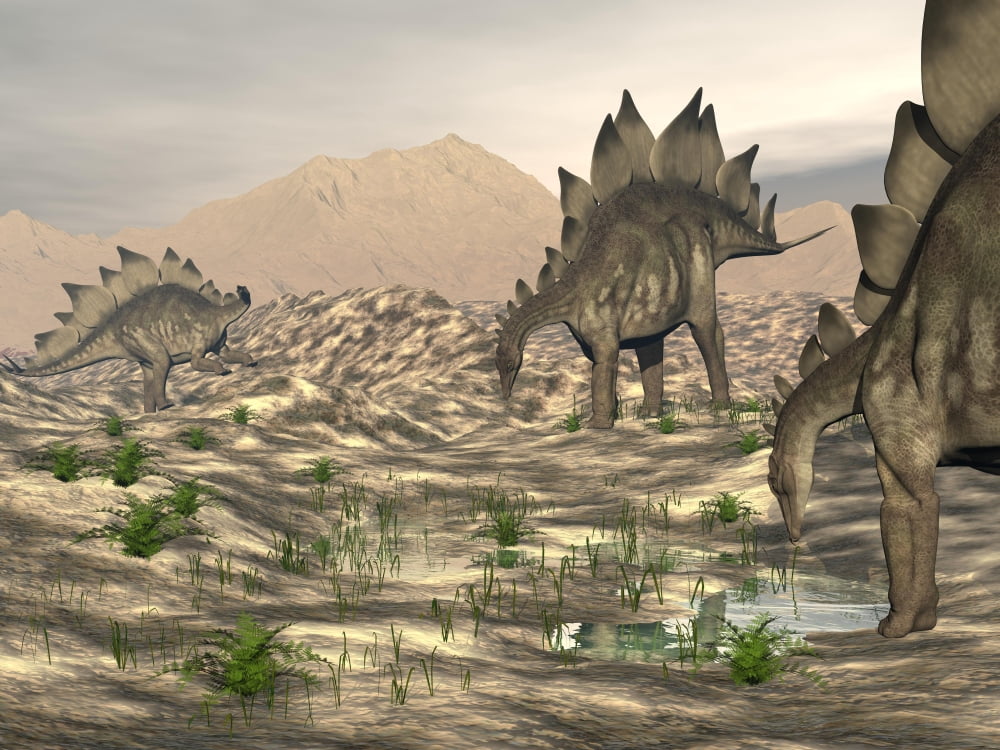 Stegosaurus dinosaurs searching for water in a desert landscape Canvas Art - Elena DuvernayStocktrek Images (33 x 25)