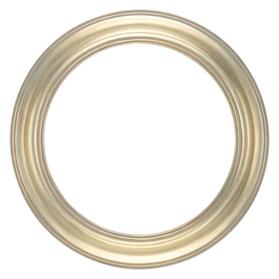 Stein Design Round Frames - Hand-Finished Open-Back Round Frames for Canvas, does not include glass or backing - [Champagne Silver - 10" Diameter]