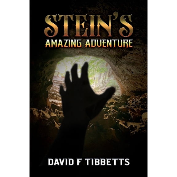 Stein's Amazing Adventure, (Paperback)