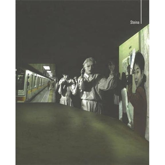 Pre-Owned Steina: 1970-2000 (Hardcover) 0976449277 9780976449270