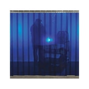 Steiner Welding Strip Curtain,6 ft H,6 ft W,Blue 83411B