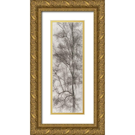 Stelfox, Norm 11x24 Gold Ornate Wood Framed with Double Matting Museum Art Print Titled - Tree Triptych I