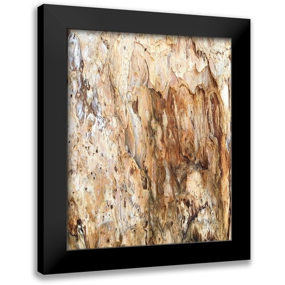 Stelfox, Norm 12x14 Black Modern Framed Museum Art Print Titled - Tree Texture Triptych III