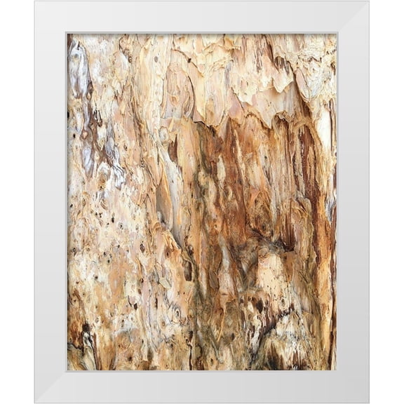 Stelfox, Norm 12x14 White Modern Wood Framed Museum Art Print Titled - Tree Texture Triptych III