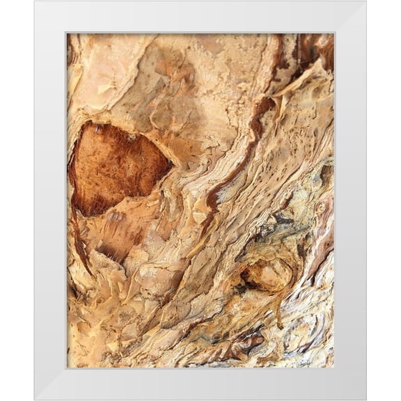 Stelfox, Norm 12x14 White Modern Wood Framed Museum Art Print Titled - Tree Texture Triptych II