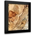 thumbnail image 1 of Stelfox, Norm 15x18 Black Modern Framed Museum Art Print Titled - Tree Texture Triptych II, 1 of 5