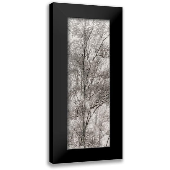 Stelfox, Norm 7x14 Black Modern Framed Museum Art Print Titled - Tree Triptych III