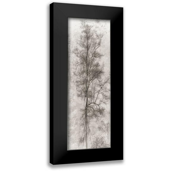 Stelfox, Norm 7x14 Black Modern Framed Museum Art Print Titled - Tree Triptych II