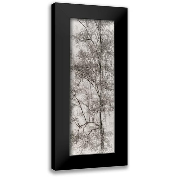 Stelfox, Norm 7x14 Black Modern Framed Museum Art Print Titled - Tree Triptych I