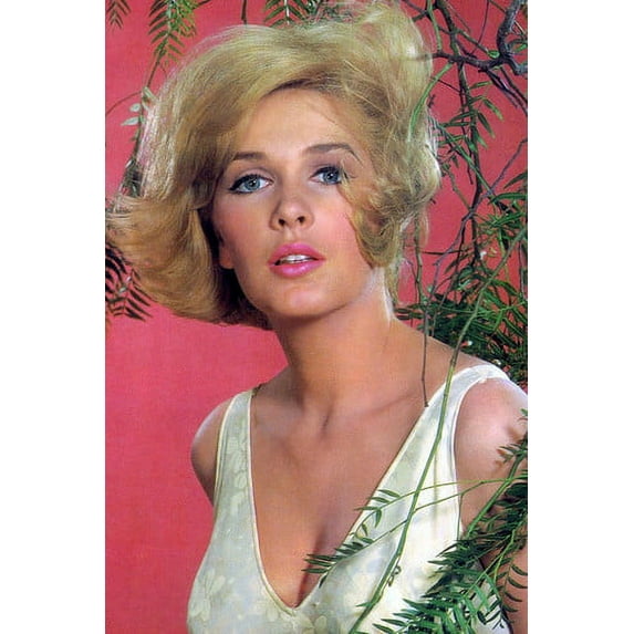 Stella Stevens 24x36 Poster 1960's pin-up