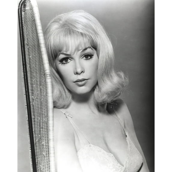 Stella Stevens Posed in Black and White Portrait wearing Lingerie Photo Print (24 x 30)