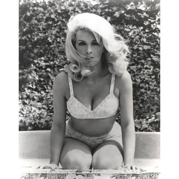 Stella Stevens kneeling wearing Bikini in Black and White Photo Print (8 x 10)