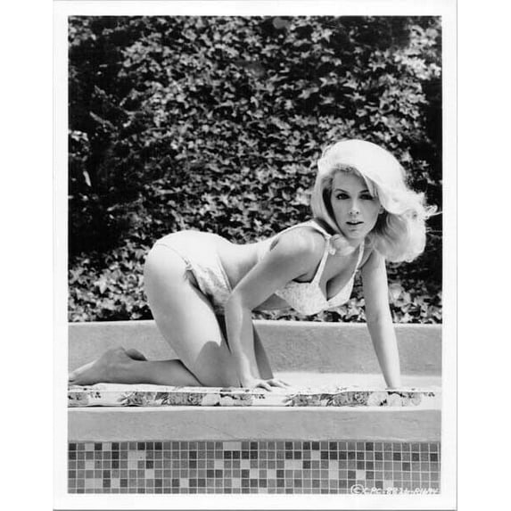 Stella Stevens vintage 8x10 inch photo in bikini posing by pool
