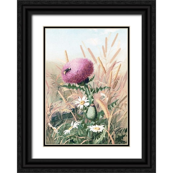 Stellar Design Studio 11x14 Black Ornate Wood Framed with Double Matting Museum Art Print Titled - Meadow Flowers 1