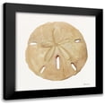 thumbnail image 1 of Stellar Design Studio 12x12 Black Modern Framed Museum Art Print Titled - Neutral Shell Collection 5, 1 of 5