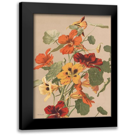 Stellar Design Studio 12x14 Black Modern Framed Museum Art Print Titled - Antique Botanical Collection 2