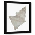 thumbnail image 1 of Stellar Design Studio 12x14 Black Modern Wood Framed Wall Art Titled - Neutral Shell 1, 1 of 5
