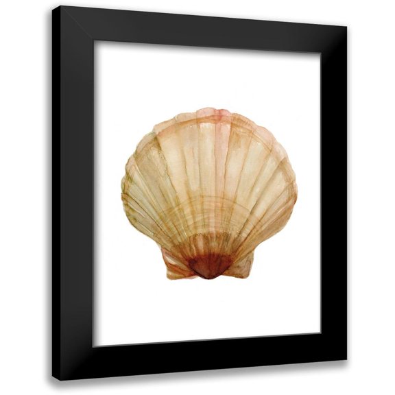 Stellar Design Studio 12x14 Black Modern Framed Museum Art Print Titled - Neutral Shell Collection 2
