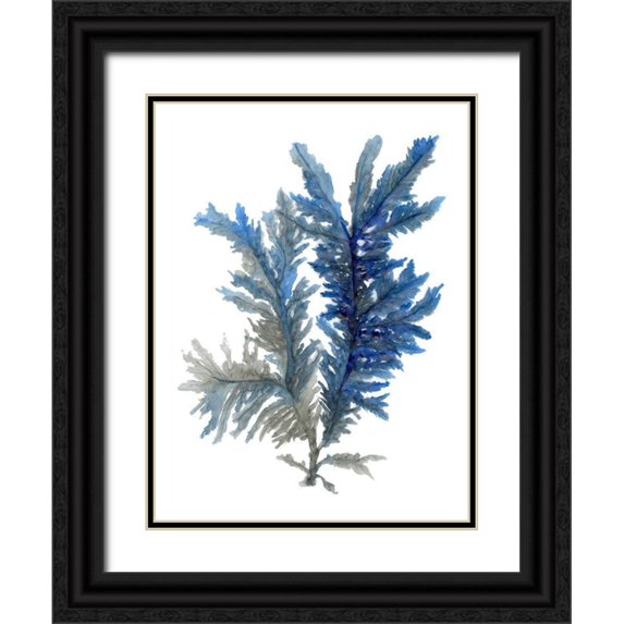 Stellar Design Studio 12x14 Black Ornate Wood Framed with Double Matting Museum Art Print Titled - Ocean Bloom I