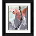 thumbnail image 1 of Stellar Design Studio 12x14 Black Ornate Wood Framed with Double Matting Museum Art Print Titled - Tropic Parrot II, 1 of 4