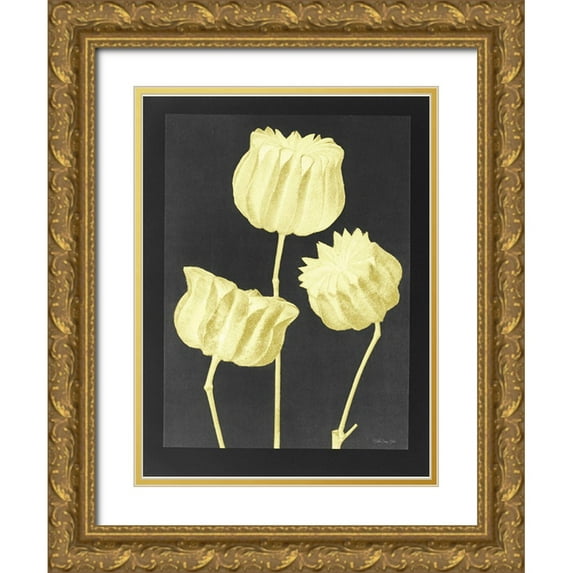 Stellar Design Studio 12x14 Gold Ornate Wood Framed with Double Matting Museum Art Print Titled - Forms in Nature 1