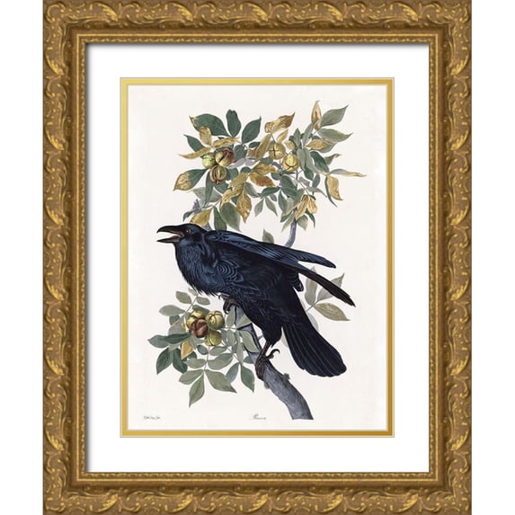 Stellar Design Studio 12x14 Gold Ornate Wood Framed with Double Matting Museum Art Print Titled - Vintage Crow 2