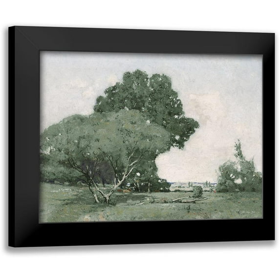 Stellar Design Studio 14x12 Black Modern Framed Museum Art Print Titled - Green Trees
