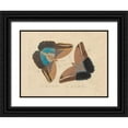 thumbnail image 1 of Stellar Design Studio 14x12 Black Ornate Wood Framed with Double Matting Museum Art Print Titled - Vintage Butterflies 2, 1 of 4