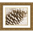 thumbnail image 1 of Stellar Design Studio 14x12 Gold Ornate Wood Framed with Double Matting Museum Art Print Titled - Snowy Pinecone, 1 of 4