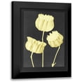 thumbnail image 1 of Stellar Design Studio 15x18 Black Modern Framed Museum Art Print Titled - Forms in Nature 1, 1 of 5