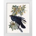 thumbnail image 1 of Stellar Design Studio 15x18 White Modern Wood Framed Museum Art Print Titled - Vintage Crow 2, 1 of 4