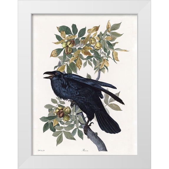 Stellar Design Studio 15x18 White Modern Wood Framed Museum Art Print Titled - Vintage Crow 2