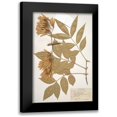 thumbnail image 1 of Stellar Design Studio 17x24 Black Modern Framed Museum Art Print Titled - Herbarium 1, 1 of 5