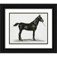 thumbnail image 1 of Stellar Design Studio 18x15 Black Ornate Wood Framed with Double Matting Museum Art Print Titled - Horse Study 3, 1 of 4