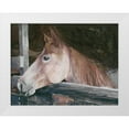 thumbnail image 1 of Stellar Design Studio 18x15 White Modern Wood Framed Museum Art Print Titled - Dixie, 1 of 4