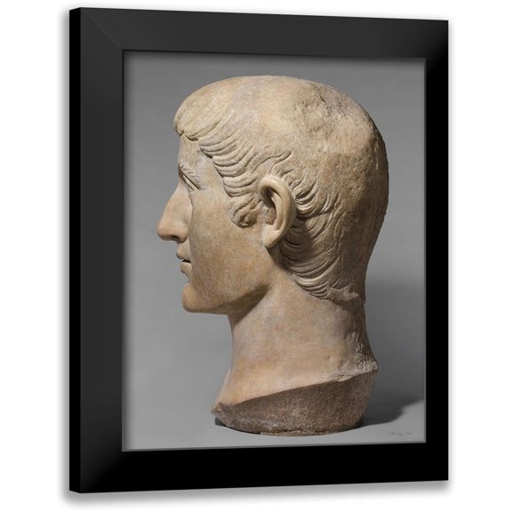 Stellar Design Studio 19x24 Black Modern Framed Museum Art Print Titled - Emperor Constantine 2