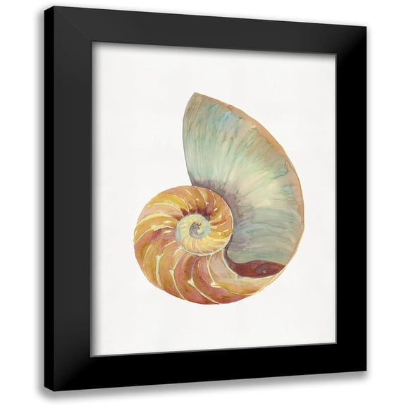 Stellar Design Studio 19x24 Black Modern Framed Museum Art Print Titled - Nautilus Shell I