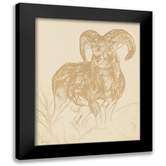 Stellar Design Studio 20x24 Black Modern Framed Museum Art Print Titled - Big Horn Sketch