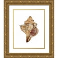 thumbnail image 1 of Stellar Design Studio 20x24 Gold Ornate Wood Framed with Double Matting Museum Art Print Titled - Neutral Shell Collection 1, 1 of 4