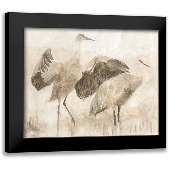 Stellar Design Studio 24x20 Black Modern Framed Museum Art Print Titled - Sandhill Cranes 2