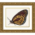 thumbnail image 1 of Stellar Design Studio 24x20 Gold Ornate Wood Framed with Double Matting Museum Art Print Titled - Papillon 5, 1 of 4