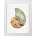 thumbnail image 1 of Stellar  Design Studio 25x32 White Modern Wood Framed Museum Art Print Titled - Nautilus Shell I, 1 of 4